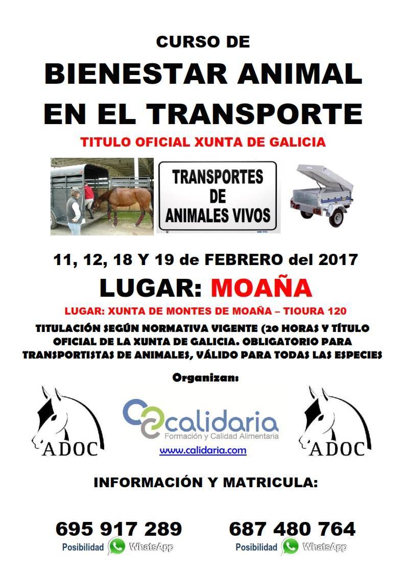 Curso Bienestar ANimal en el Transporte Moaña Pontevedra GALICIA 2017