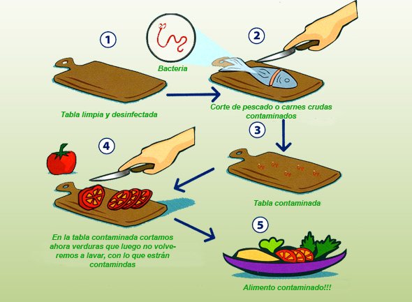 Higiene de las tablas de cortar en cocinas profesionales – ilser grup
